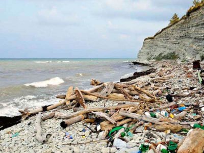 Экологическая справедливость